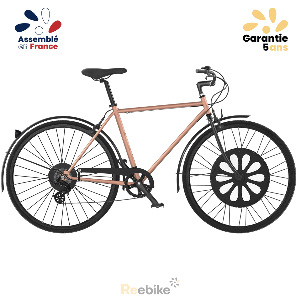 Roue avant Reebike Cosmopolit avec moteur et batterie intégrés, vue de profil
